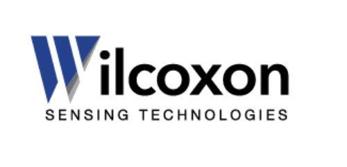 Wilcoxon Sensing Technologies